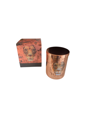 Ladenac Africa Lion Candle in Jar 350gr